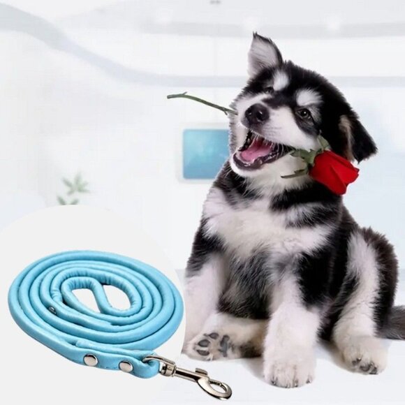 Xander Rey Light Blue Leather Dog Leash Gift Packaged - Picture 4 of 9